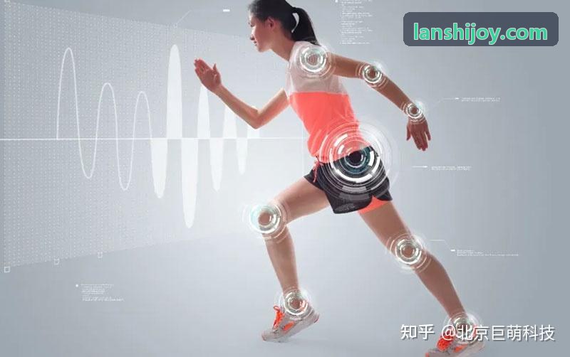 蓝狮大型跨国装备集团系统交付界面